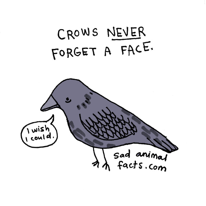 Sad Animal Facts brooke barker
